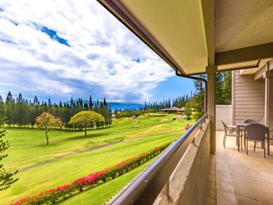 Kapalua Condo 896358